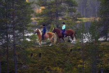 Finland-Finland-Lapland Posio Trail